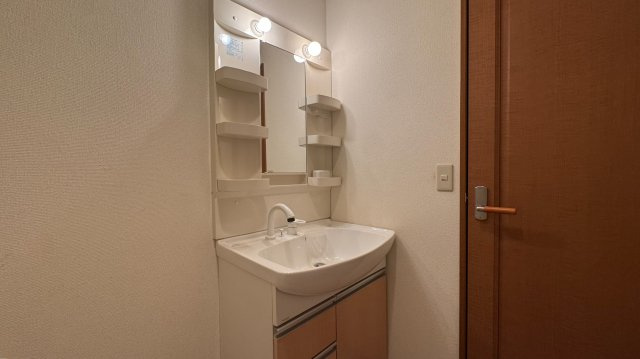 ラフィーネ壱番館の洗面所