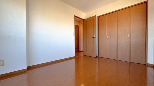 ラフィーネ壱番館の洋室