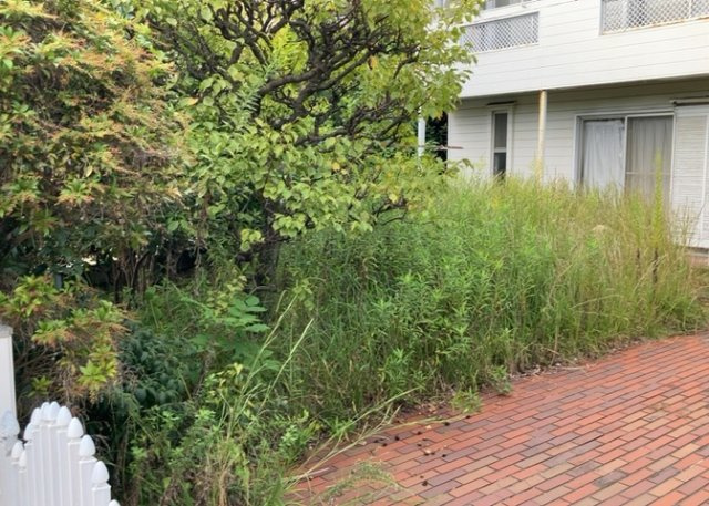 【外観】 | 家を建てる場合、方位は要チェックです。現実的に日当たりのよい家ならばリビングは南側、建築基準法でも北側に当たる家への配慮は求められています。土地を見学に行く際は、方位磁針を持って行くようにしましょう。