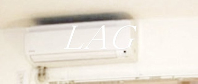 【その他】 | ドミール中延