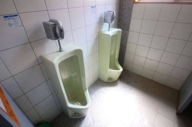 玉湯町玉造店舗兼用住宅のトイレ|正面玄関正面のトイレは来客用で男女独立の設計になります。