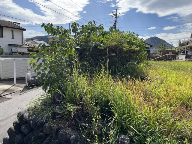 土地　諏訪山1丁目のその他|敷地内樹木