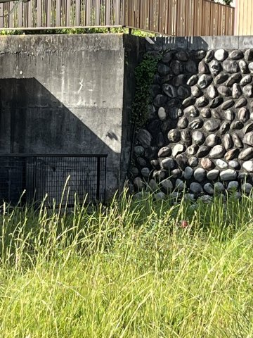 土地　諏訪山1丁目のその他|北側隣地との境