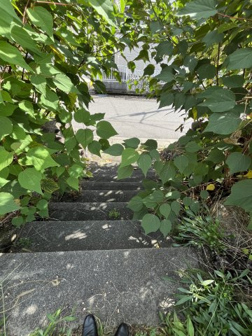 土地　諏訪山1丁目の外観|52の階段上から