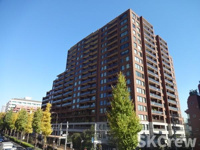 シティテラス目白　Ｃテラスの画像