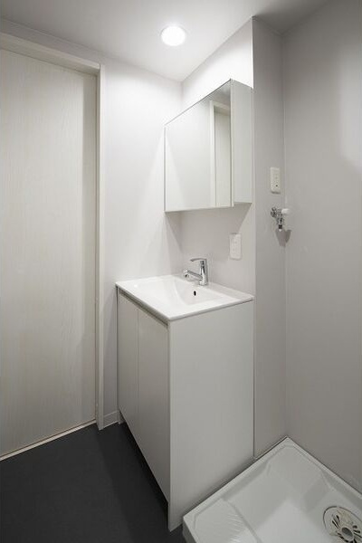 エアスト東中島(エアストヒガシナカジマ)の洗面所