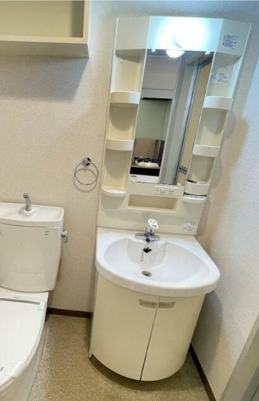 ドミール二子玉川園　角部屋　セキュリティ完備　ネット0の洗面所