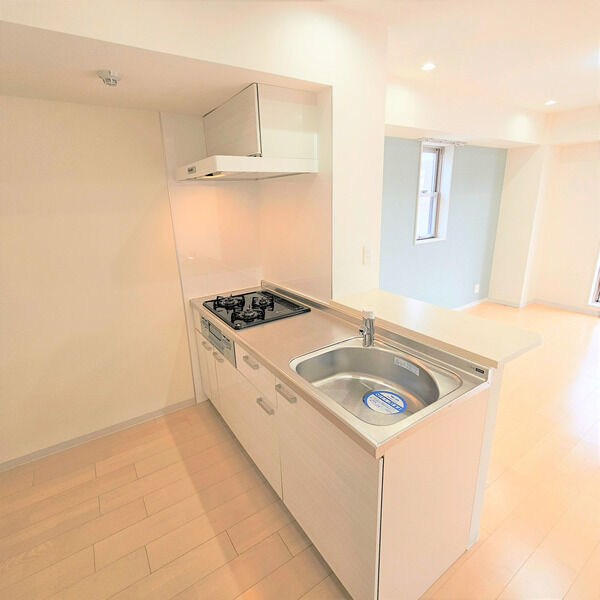 axis sakae Ⅴのキッチン