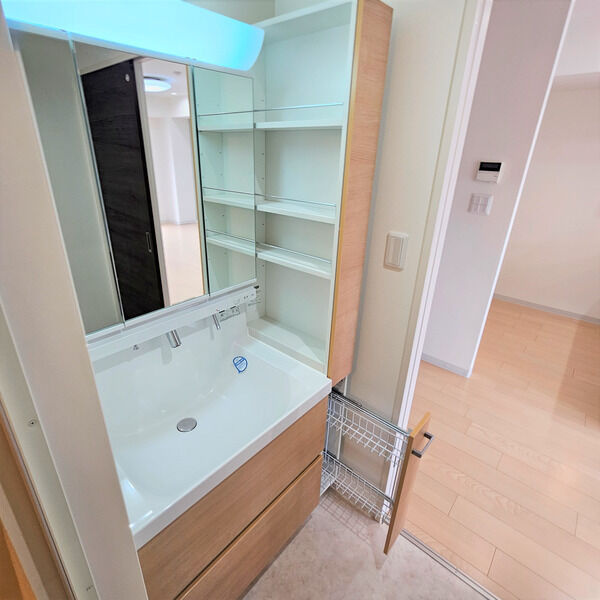 axis sakae Ⅴの洗面所