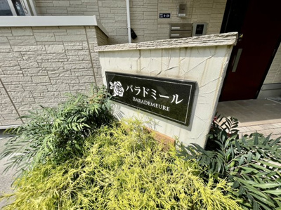 【その他】 | バラドミール