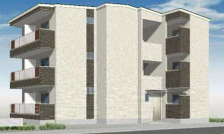 F asecia caninaの外観パース