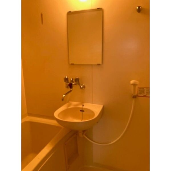 京第一マンションの洗面所