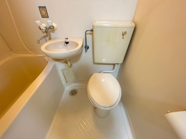 【トイレ】 | マートンドーム | ※同タイプ、別部屋の写真です。現状優先になります。