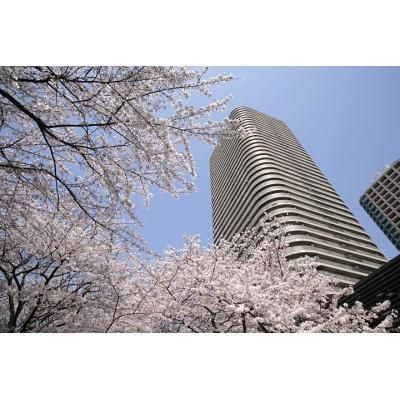 リバーポイントタワーの外観