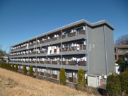 ロイヤル国立の画像