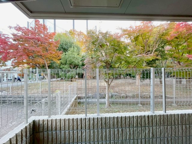 オーキッドガーデンの展望