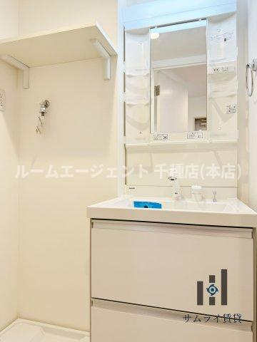 ハーモニーテラス八番Ⅱの洗面所