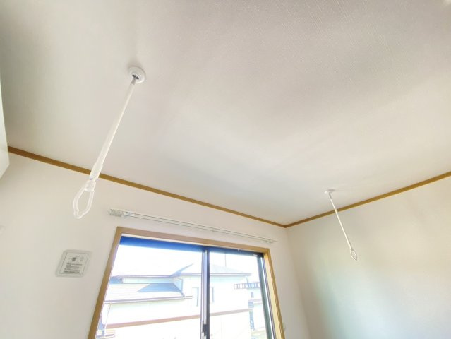 みかんのその他