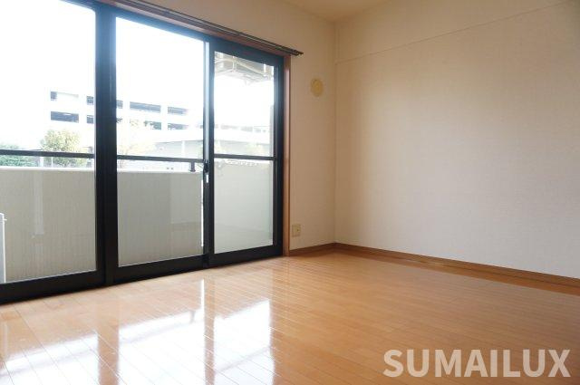 N and E 光の森のその他