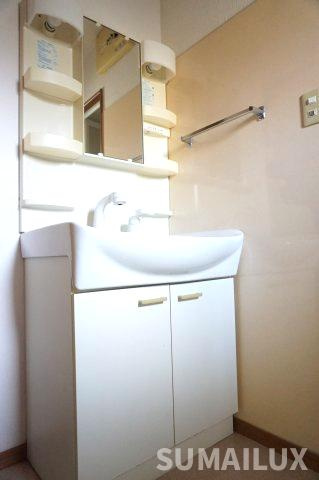 N and E 光の森の独立洗面台