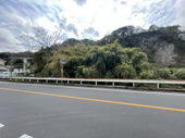 田上8丁目　売地の画像