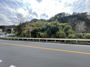 田上8丁目　売地の画像