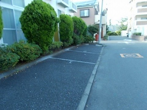 レオパレス桜のその他