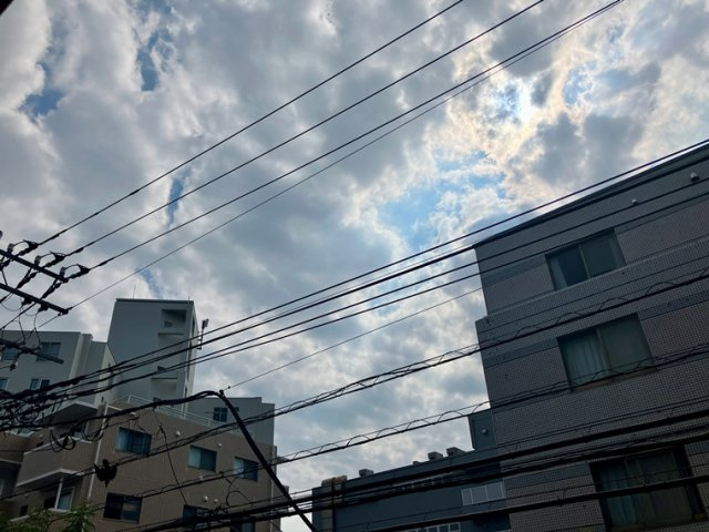 クリオ片瀬江ノ島の展望