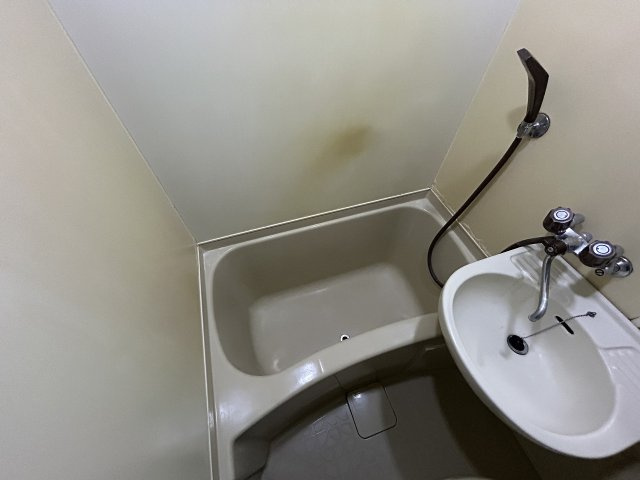 タートルシティ亀有の浴室