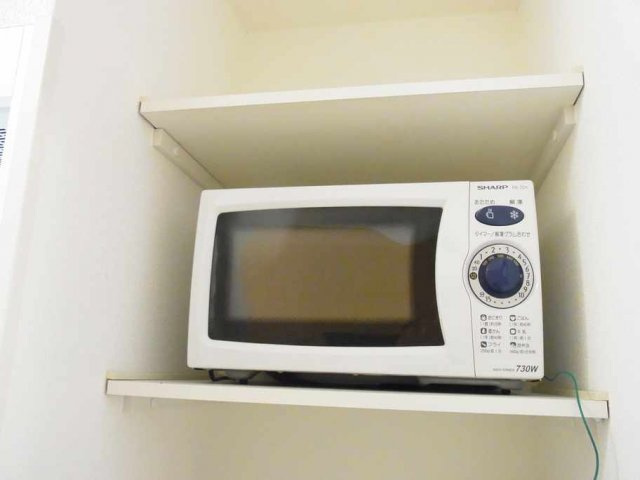 レオパレスファナーリのその他|現況優先