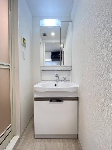 大阪市城東区東中浜２丁目の賃貸マンションの独立洗面台