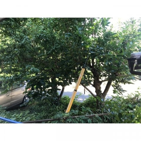 フローラルコートⅢのその他