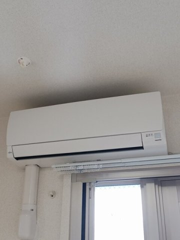 Ｌａ　Ｐｌａｇｅ　Ｓｈｏｎａｎのその他