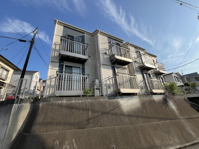 サザン・ラキシス