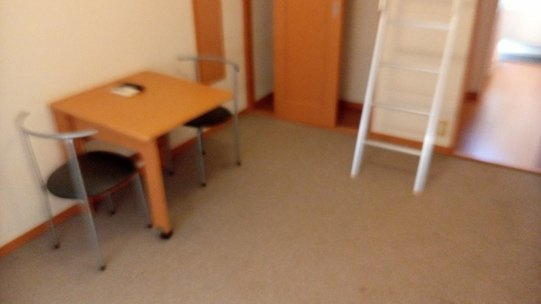 レオパレスＯＦＫの居間・リビング|２Ｆ居室（床絨毯）