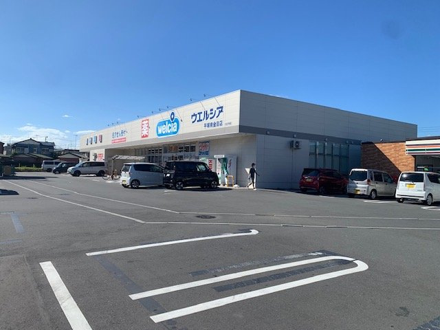 レオパレスフリーダム南金目Ⅲの周辺|近くにドラックストアー有り