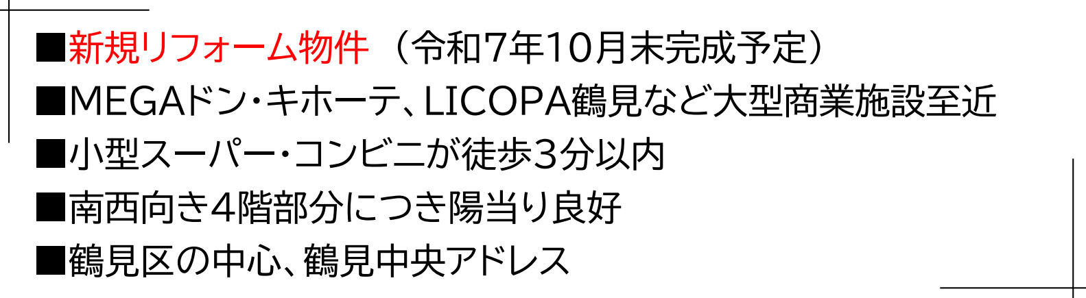 東急ドエル・アルス鶴見【仲介手数料無料】のその他