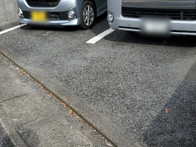 レオパレス花水のその他