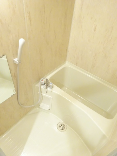 ステージグランデ田園調布アジールコートの浴室