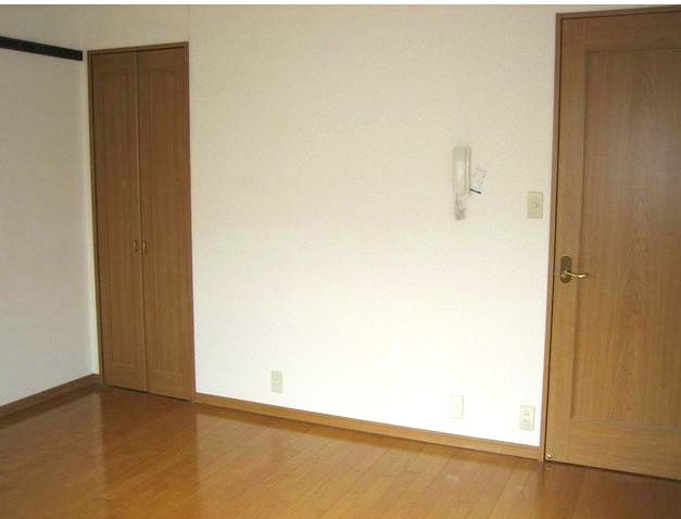 レグルスのその他