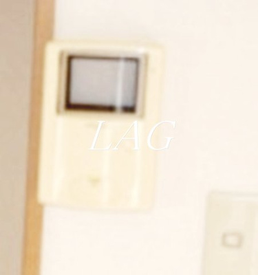 【セキュリティ】 | エルレーブ | モニター付きインターホンです。