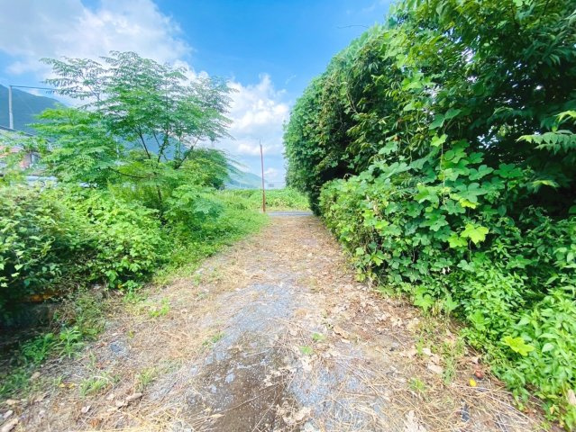 売土地　養老郡養老町三神町　110.23坪の前面道路含む現地写真