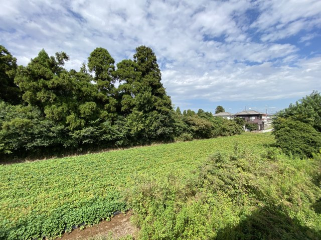 大谷流中古戸建の周辺