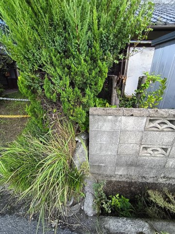 西条市明神木65-1　売土地の周辺