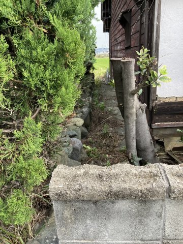 西条市明神木65-1　売土地の外観