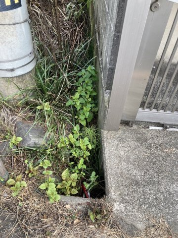 西条市明神木65-1　売土地の周辺