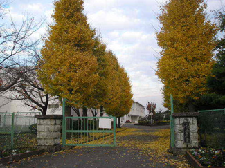 綾瀬市立綾瀬中学校／1200ｍ