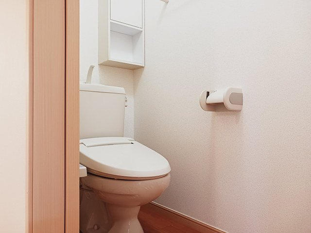 エレガンスヤツオＥのトイレ