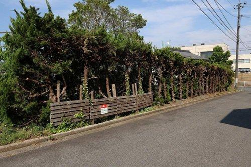 松江市東津田町のその他