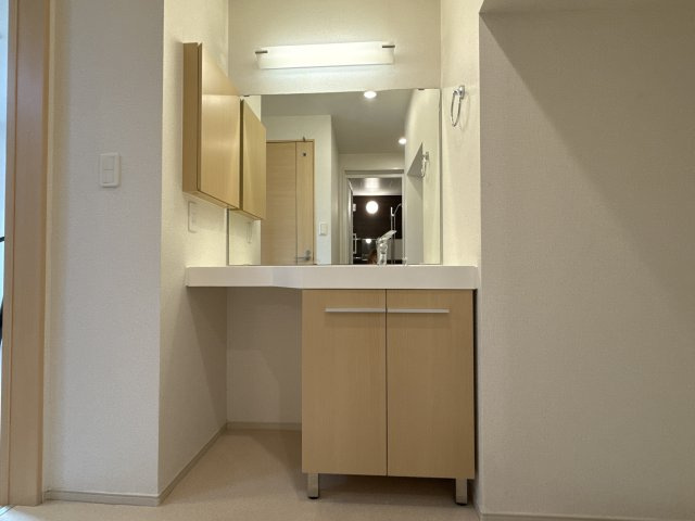 プロムナード弐番館の洗面所